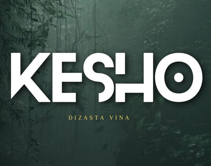 Dizasta Vina – Kesho Official Music Cover