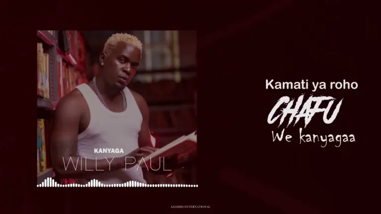 Willy Paul – Kanyagaa
