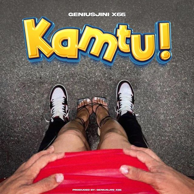 Geniusjini x66 – Kamtu