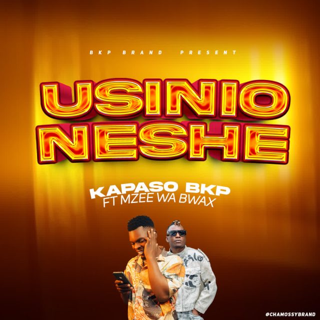 Kapaso Bkp X Mzee Wa Bwax – Usinionyeshe