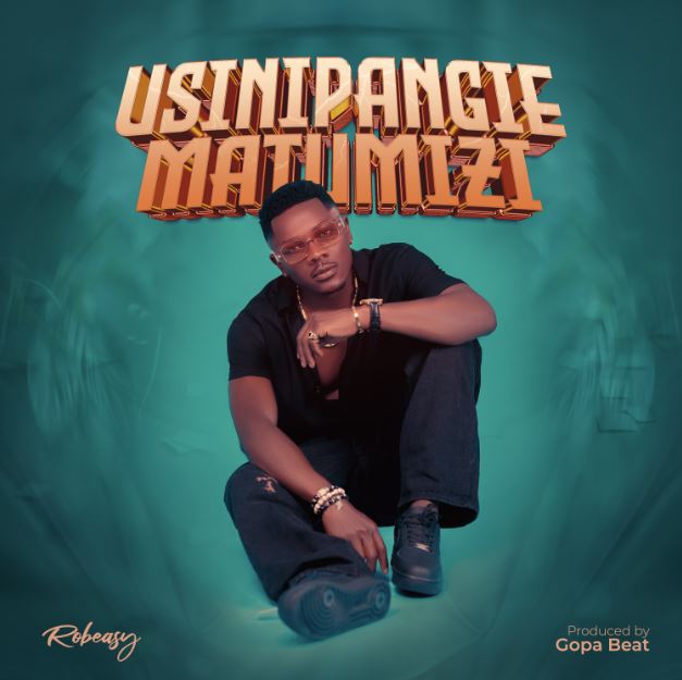 Robeasy – Usinipangie Matumizi