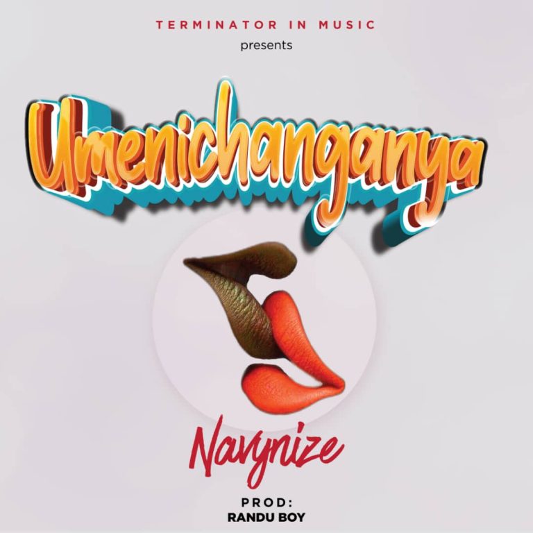 Navynize – Umenichanganyaa