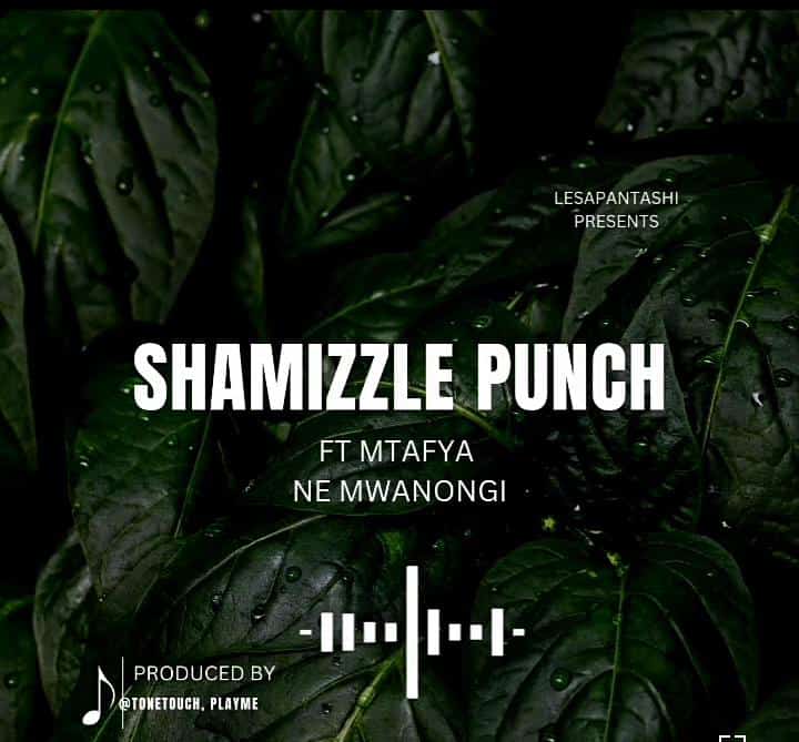 Stream Shamizzle Punch Ft. Mtafya – Ne Mwanongi