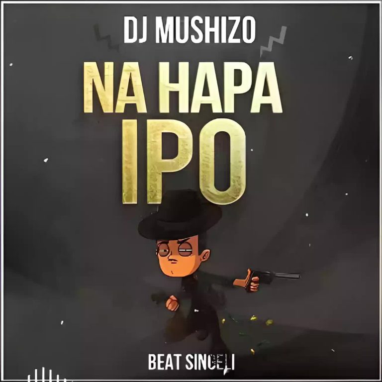 Dj Mushizo – Na hapa ipo Beat Singeli