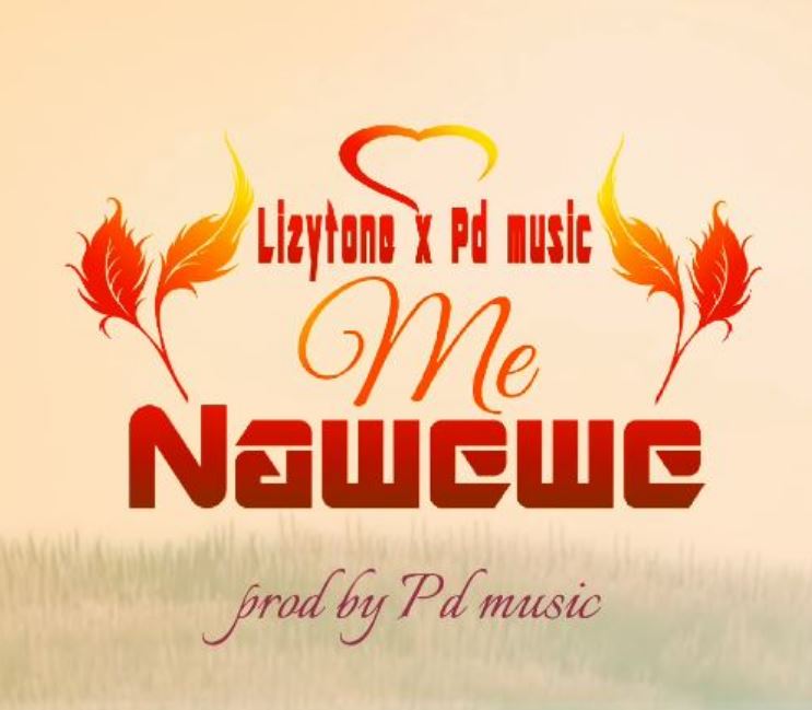 Stream & Download Lizytone X Pd Music – Me Nawewe