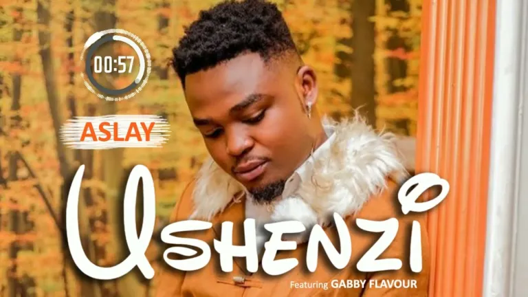 Stream & Download Aslay ft Gabby Flavour – Ushenzi