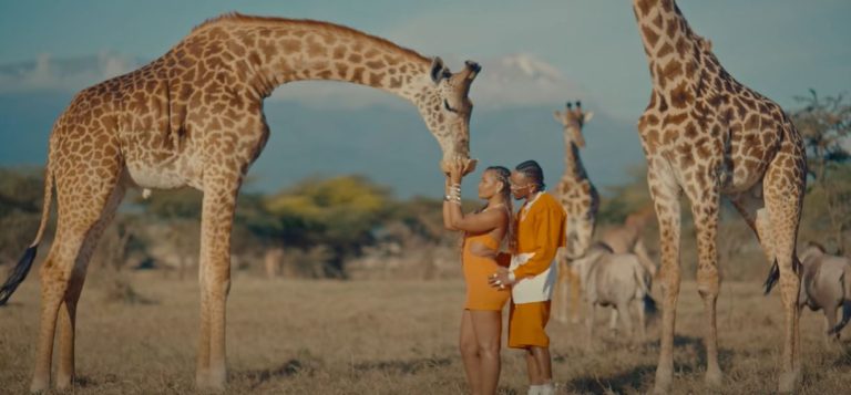 Watch | Marioo – Hakuna Matata