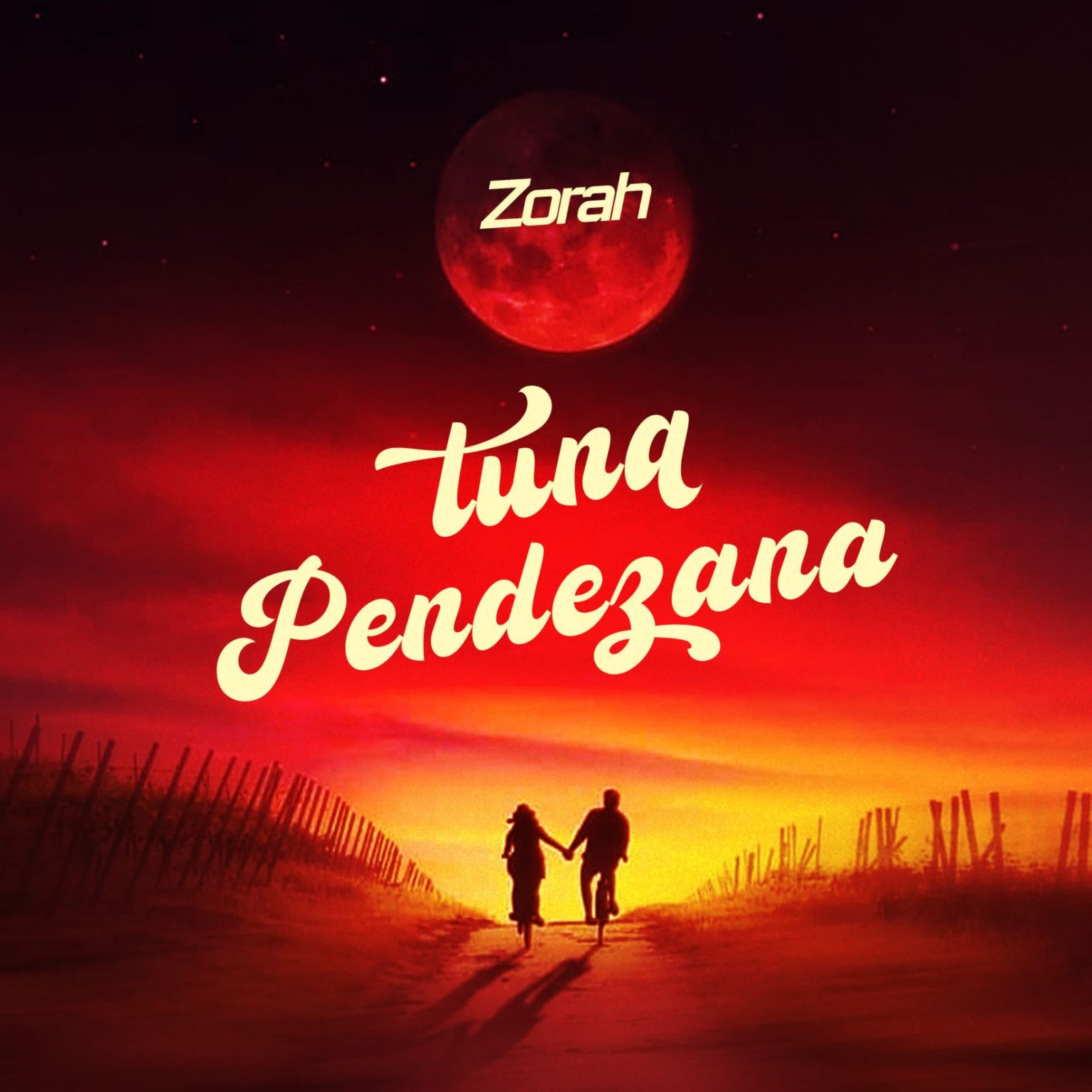 Stream & Download Zorah – Tunapendezana