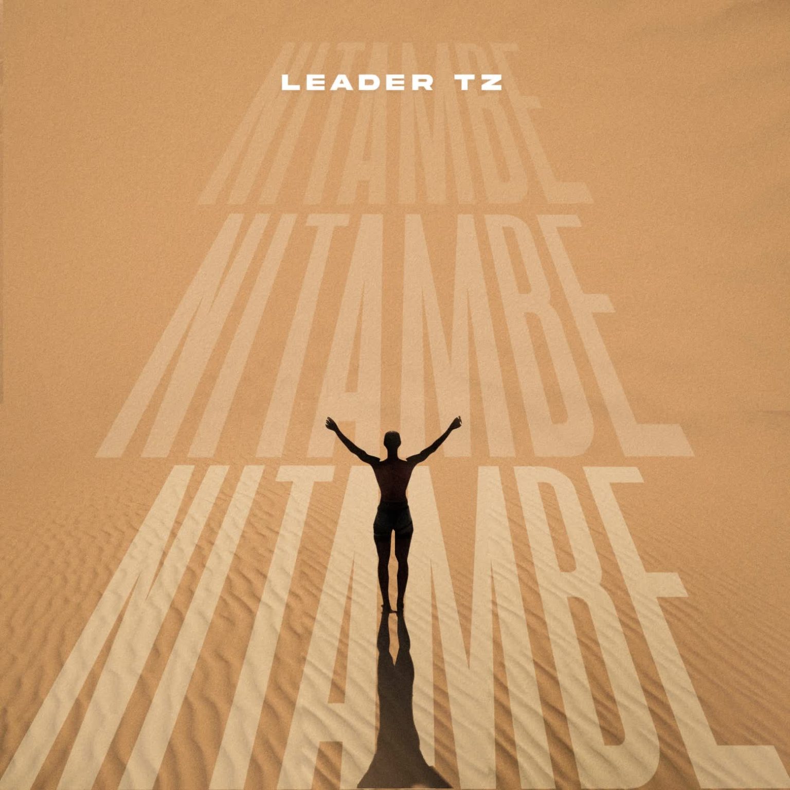 Stream & Download Leader tz – Nitambe