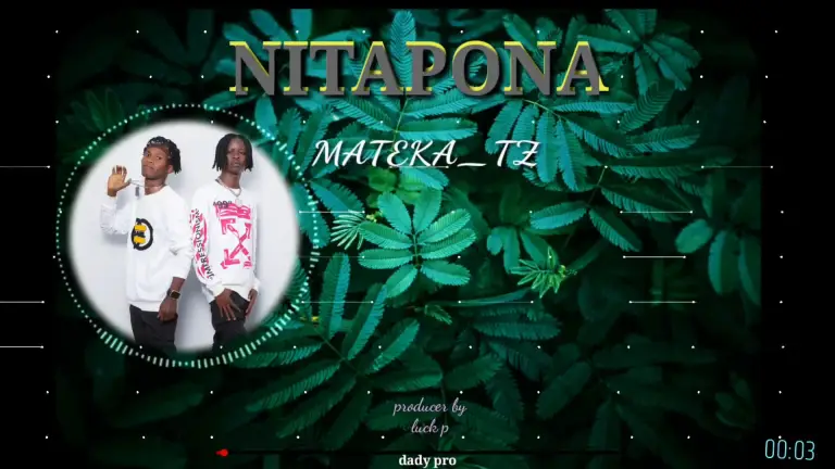 Mateka – Nitapona