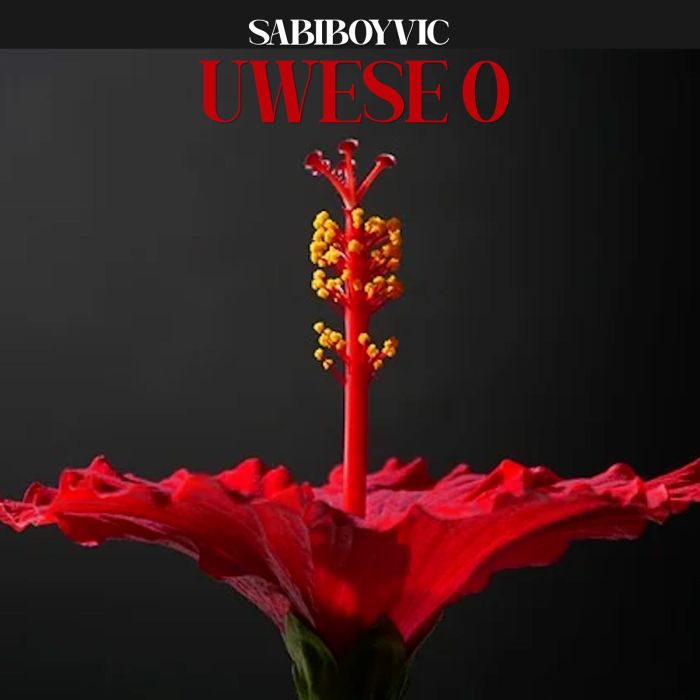 Sabiboyvic – Uwese O