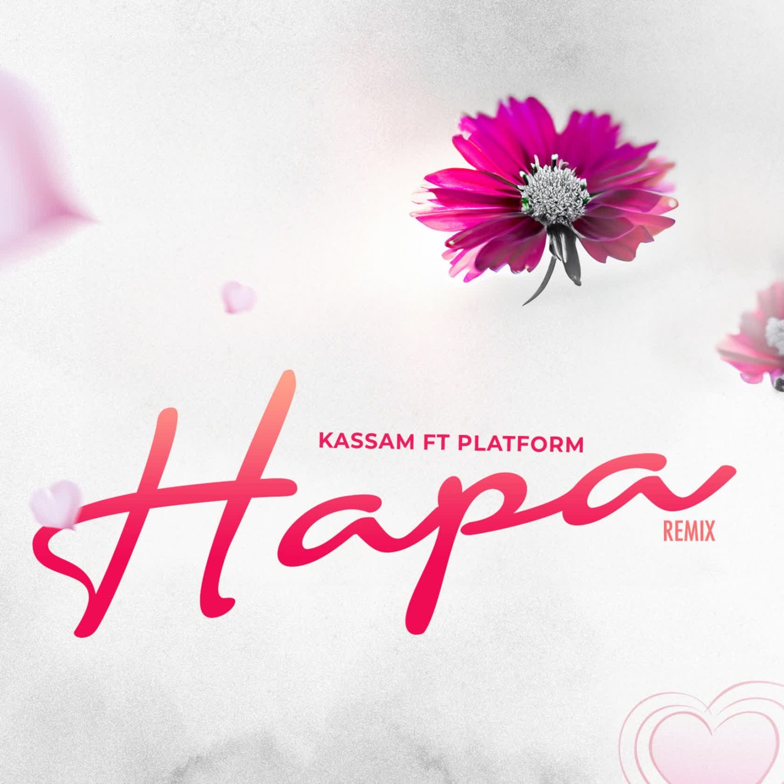 Kassam Ft. Platform – Hapa Remix