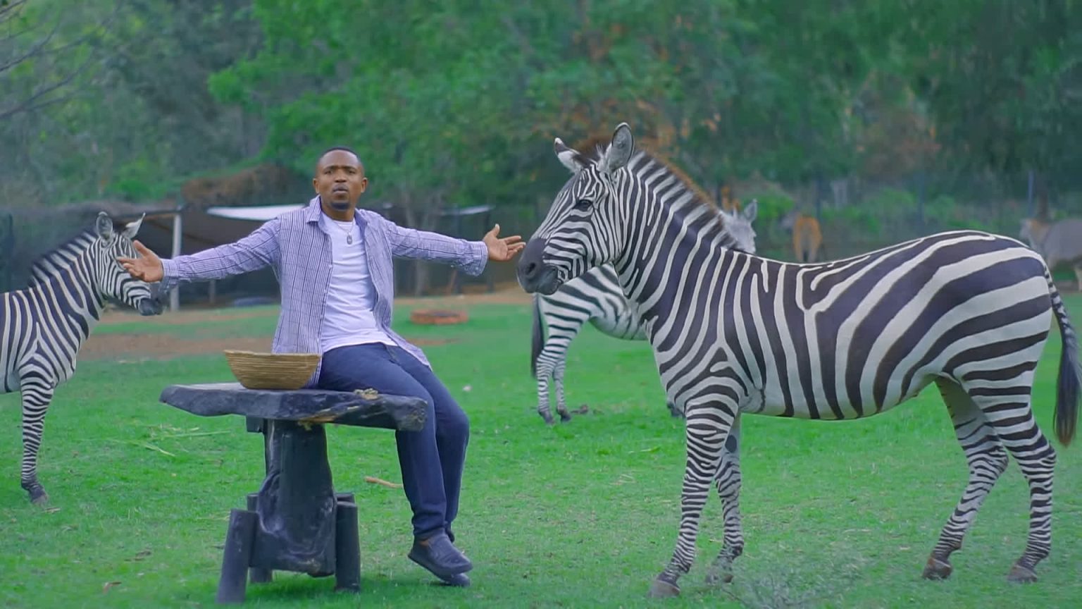 Stream & Download Video | Alex Herman – Nishike Mkono