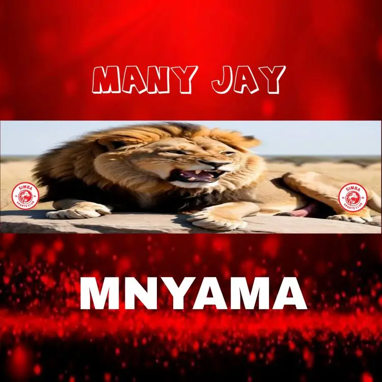 Many jay – Mnyama