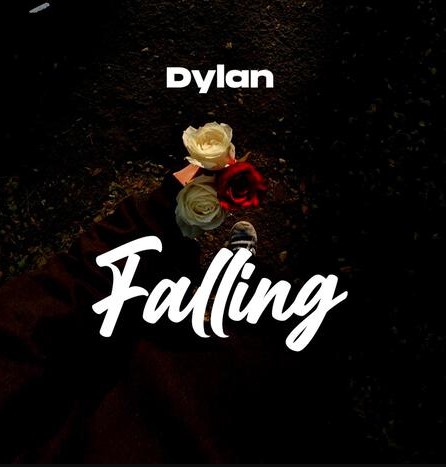 Dylan – Falling