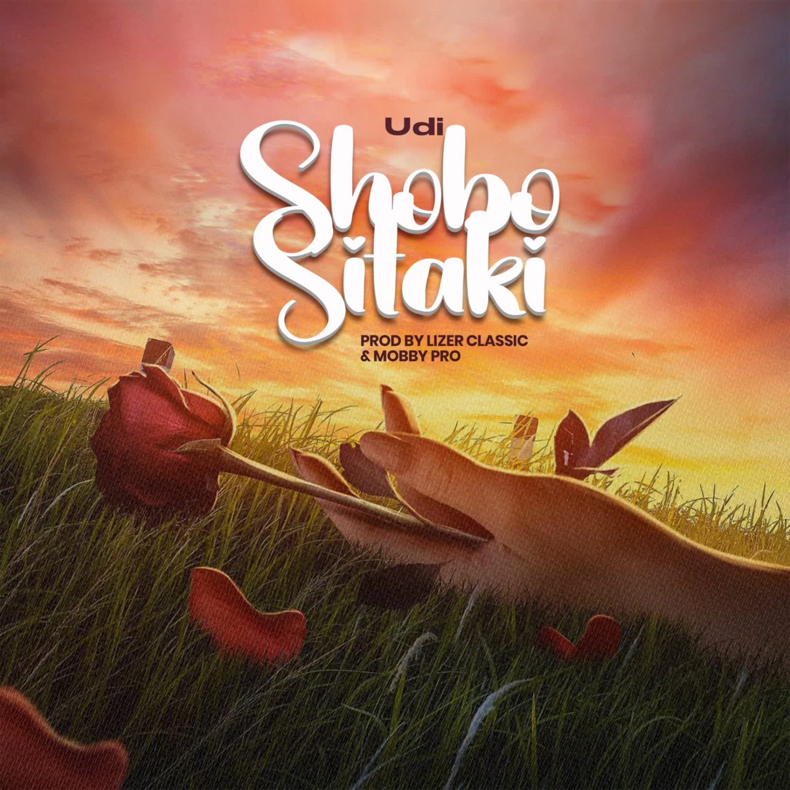 Udi – Shobo sitaki