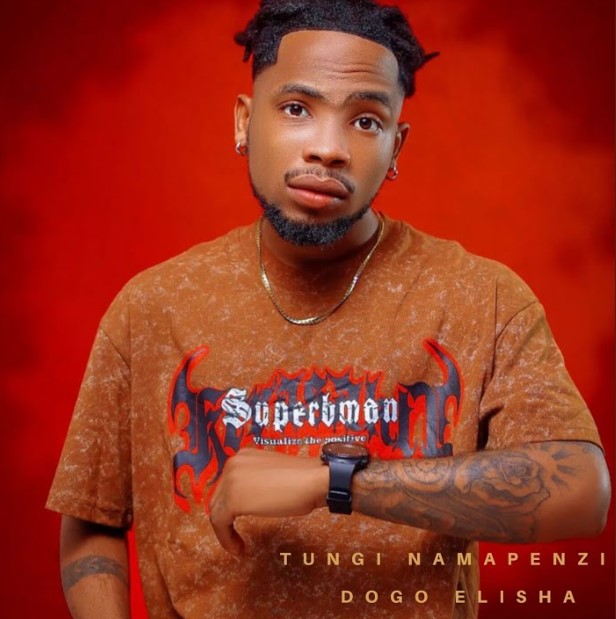 Dogo Elisha – Visa Vya Nini