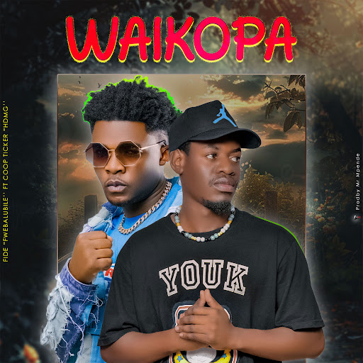Fide Ft Coop Ticker – Waikopa