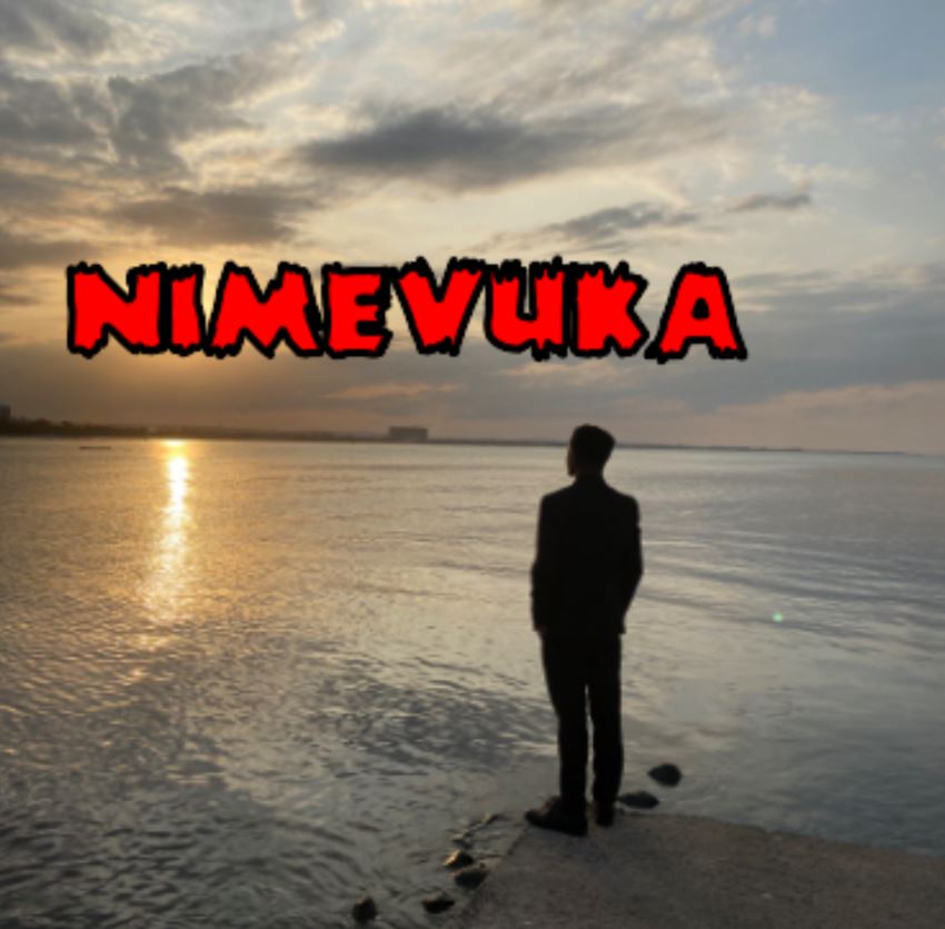 Stream & Download Toxic Fuvu – Nimevuka