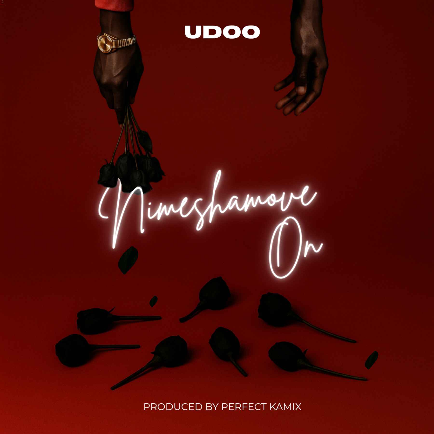 Stream & Download Udoo – Nimeshamove On
