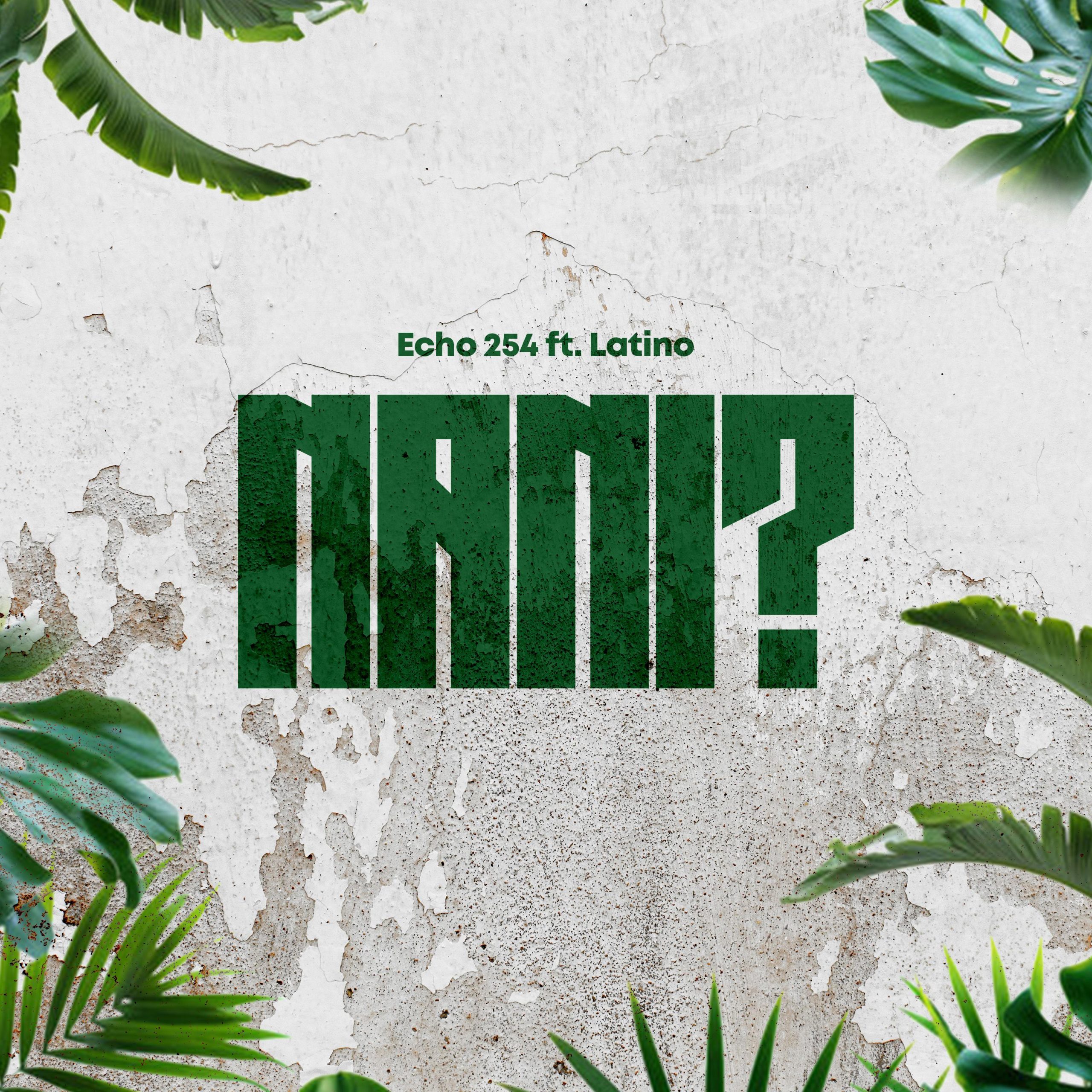 Stream & Download Echo 254 ft Latinoh – Nani
