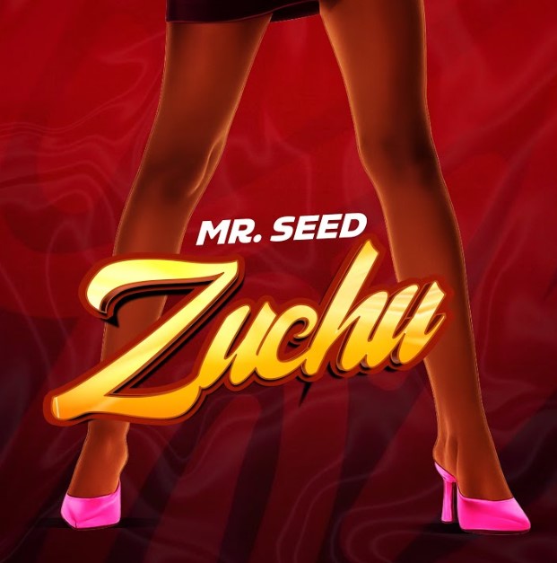 Mr Seed – Zuchu