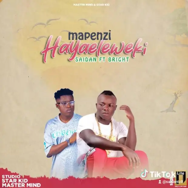 Saidan Ft Bright – Mapenzi Hayaeleweki