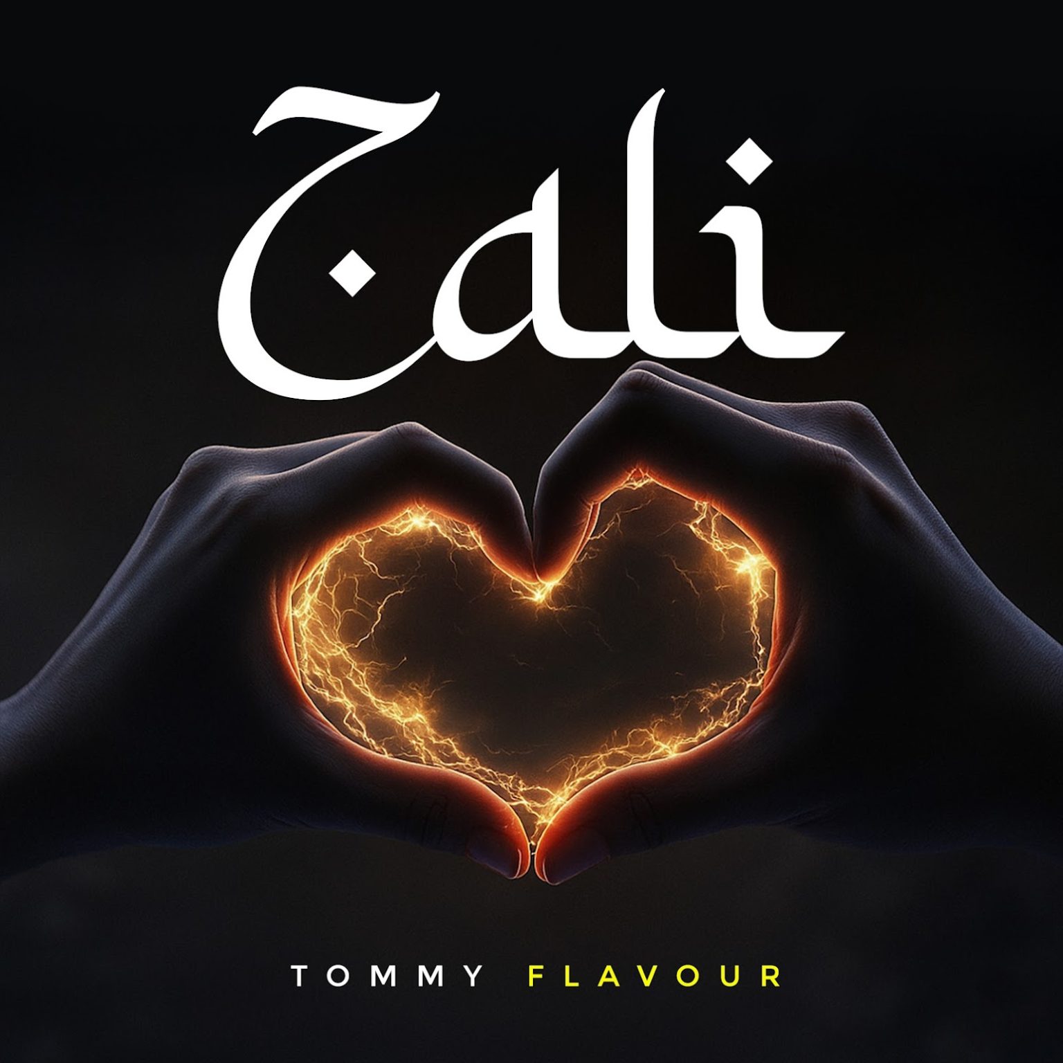 Stream & Download Tommy Flavour – Zali