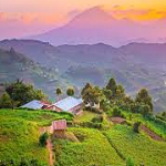 Stream & Download Uganda Music