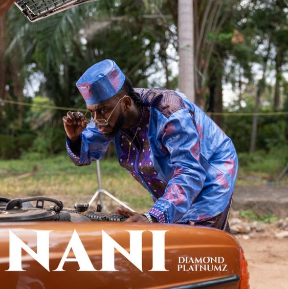 Stream & Download Diamond Platnumz – Nani