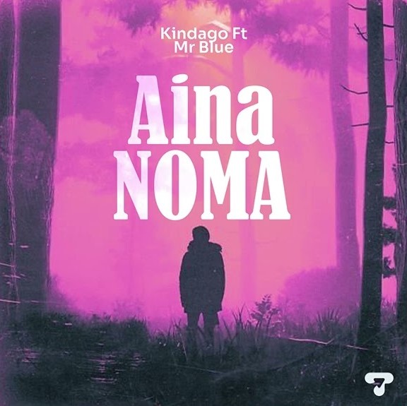 Stream & Download Kindago Ft Mr Blue – Aina Noma