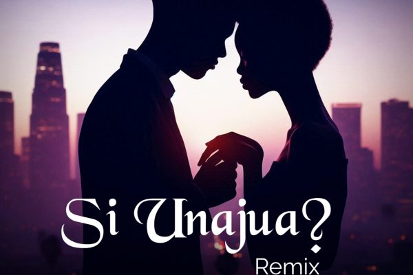 Stream & Download Msomali Ft. Dulla Makabila – Si Unajua (Remix)