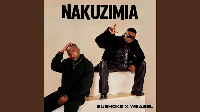 Bushoke Ft Weasel – Nakuzimia