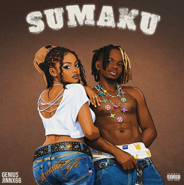 Geniusjini X66 – Sumaku