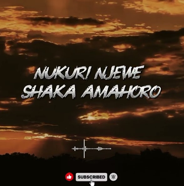 Bad Kids Ft Marioo – No Love