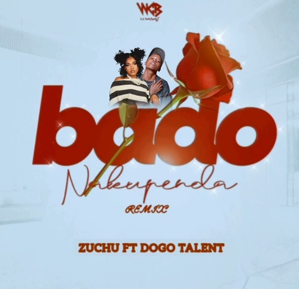Dogo Talent Ft Zuchu – Bado Nakupenda (remix)