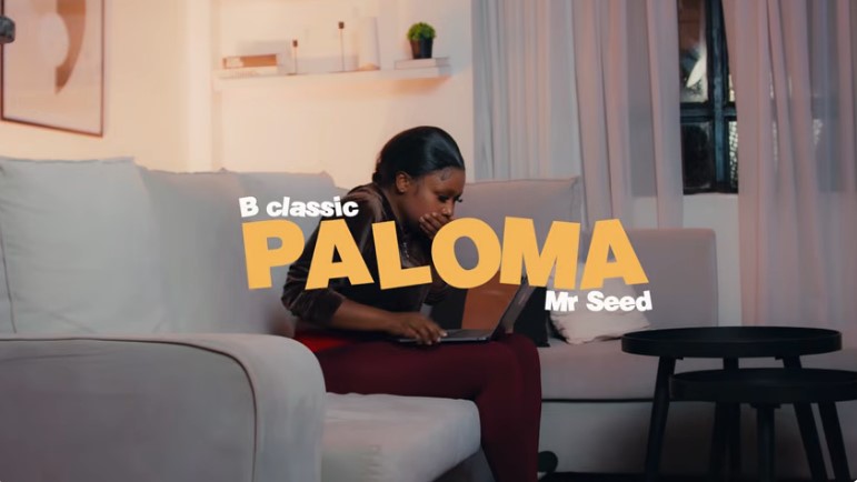 B Classic X Mr Seed  – Paloma