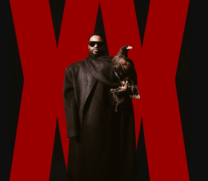 Fally Ipupa – Cinéma