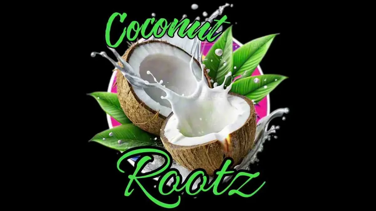 Coconut Rootz – My Everything Official Music Cover