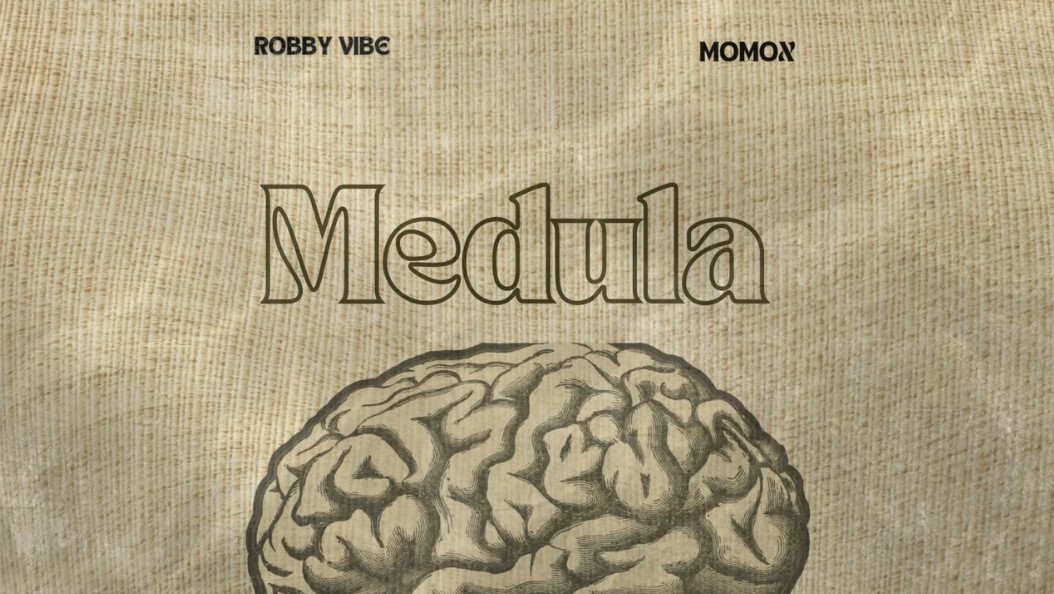Robby Vibe Ft Momox Ke – Medula