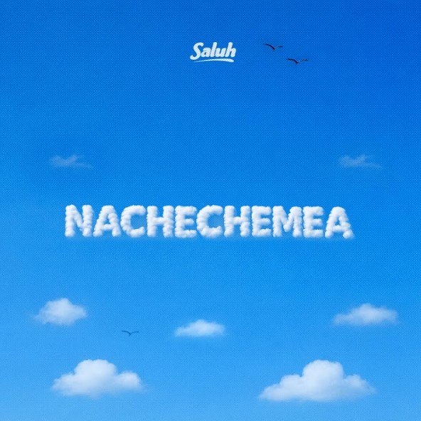 Saluh – Nachechemea
