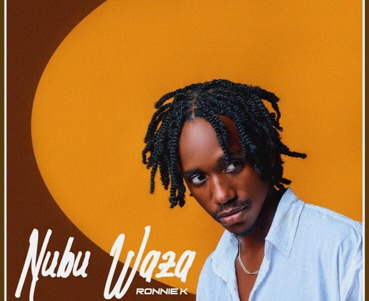 Ronnie K – Nubu Waza Official Music Cover