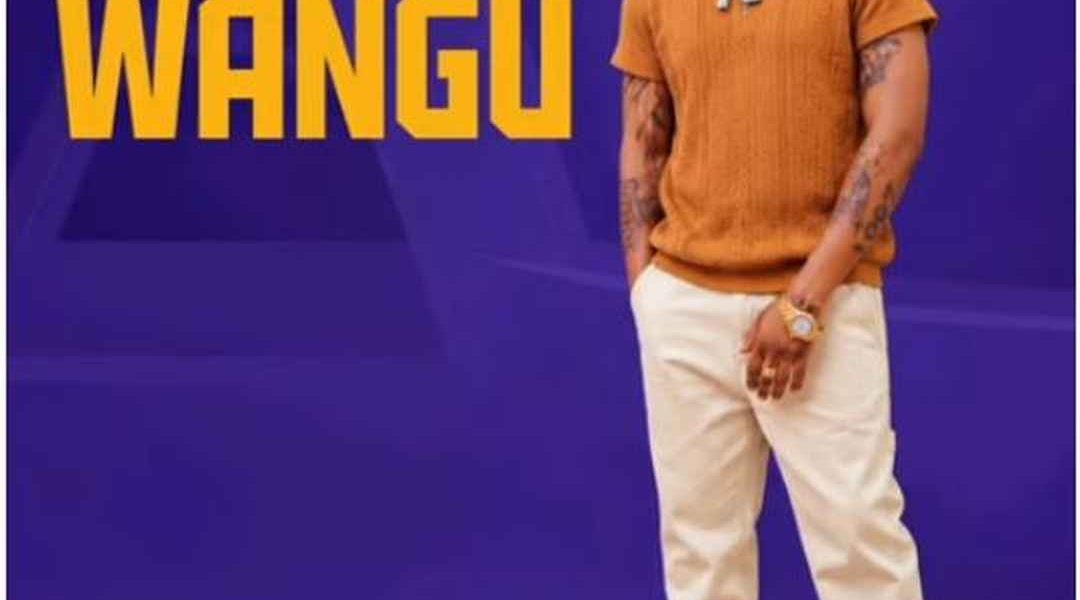 Robytone – Wangu Official Music Cover