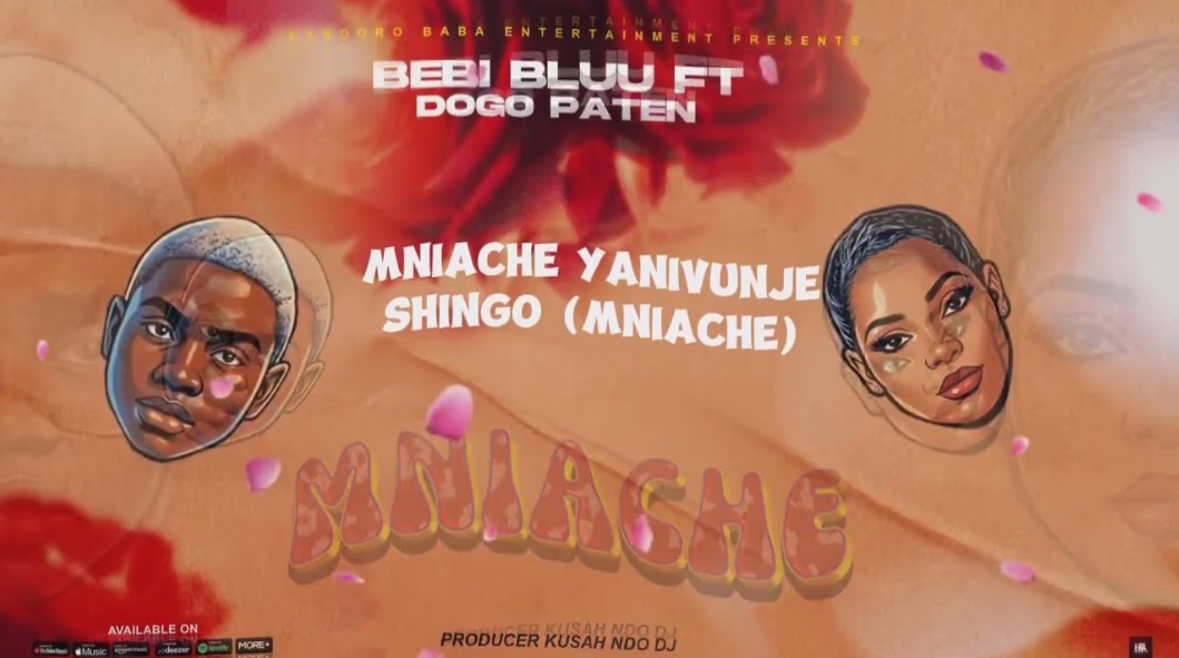 Bebi Bluu Ft Dogo Paten – Mniache Official Music Cover
