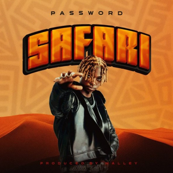 It’s Password – Safari Official Music Cover