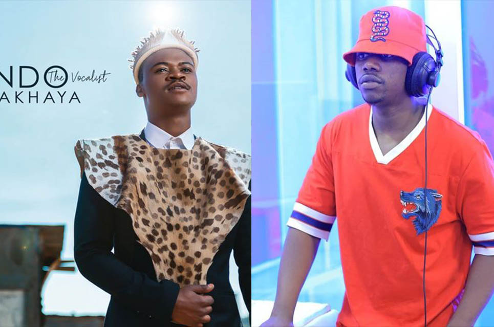 Mlindo The Vocalist Ft Rayvanny – Amablesser