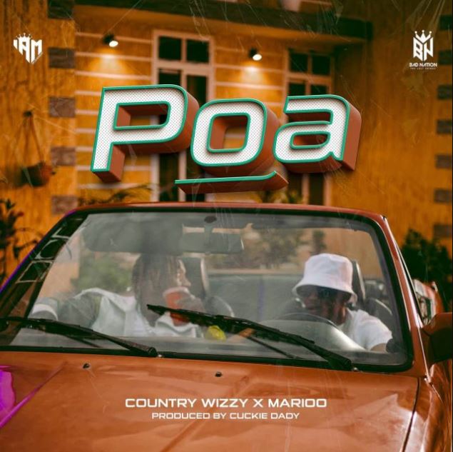 Country Wizzy Ft Marioo – Poa