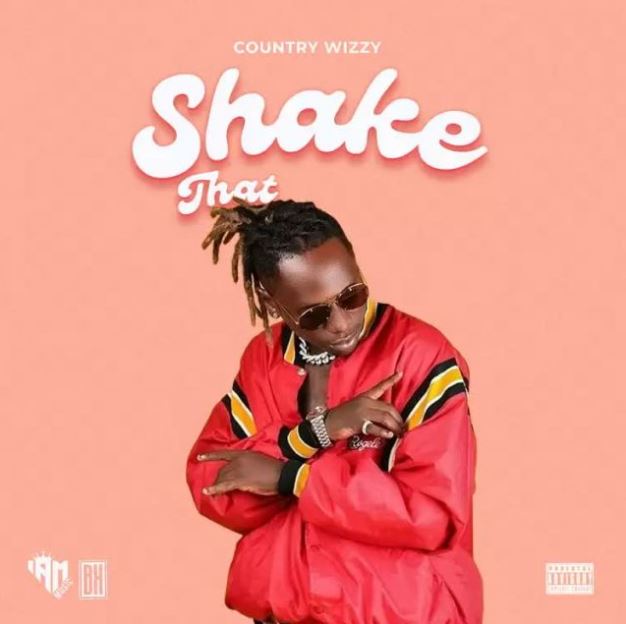 Country Wizzy – Shake That As*