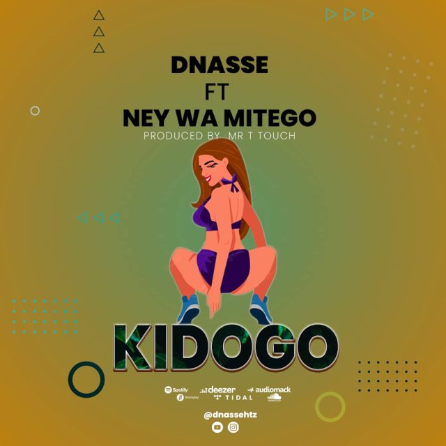 Dnasse Ft Nay Wa Mitego – Kidogo