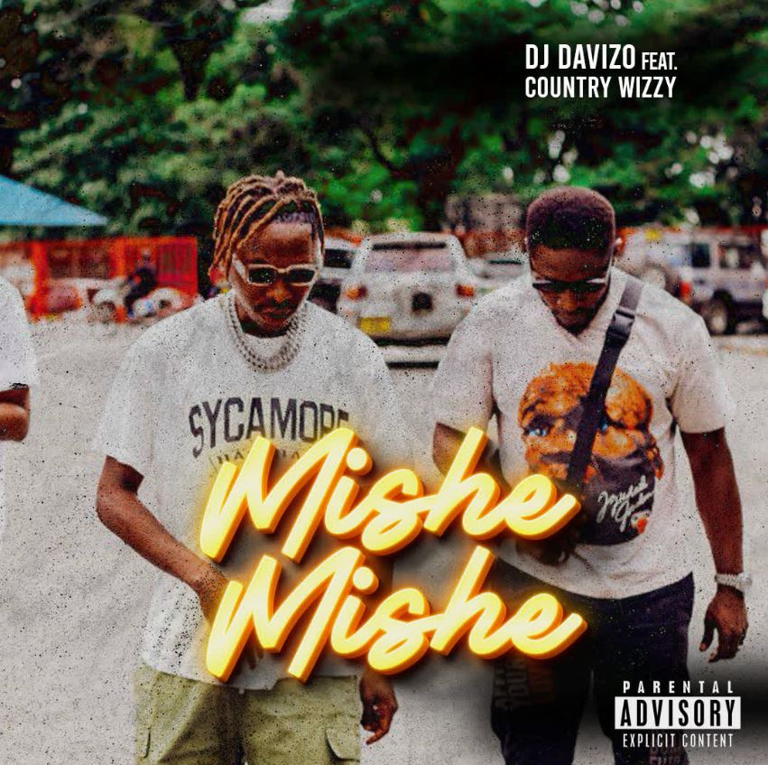 Dj Davizo Ft Country Wizzy – Mishemishe